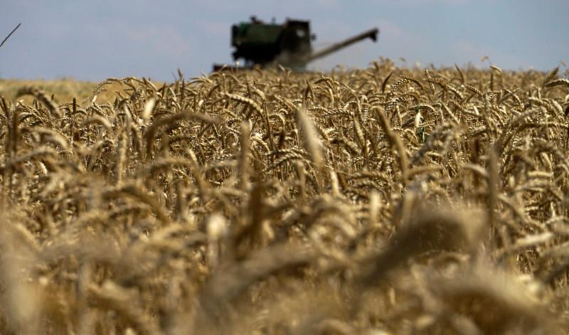 Turkiye plans meeting with Russia, Ukraine to discuss grain export deal