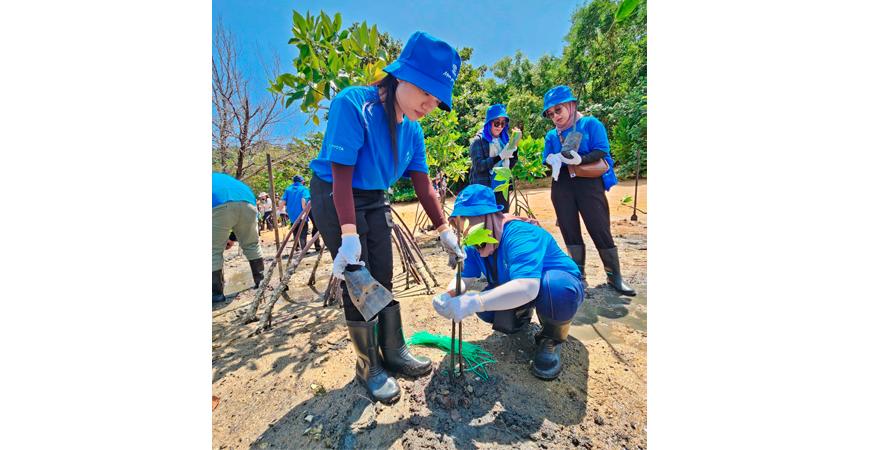 UMW Toyota Motor Participates in UMW Green Shoots Initiative At Tanjung Tuan, Melaka UMW Toyota Motor Participates in UMW Green Shoots Initiative At Tanjung Tuan, Melaka