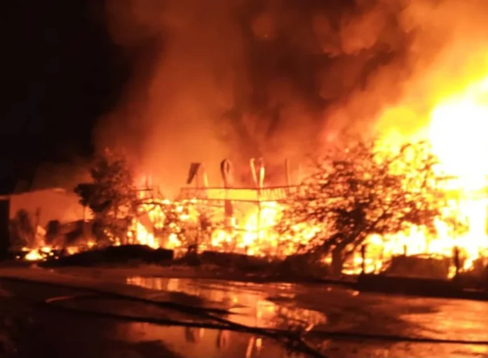 WhatsApp_Image_2026-02-02_at_10_46_16