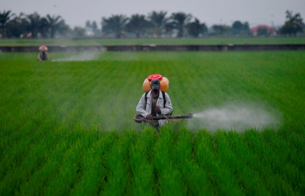 White House warns China using overproduction for global dominance White House warns China using overproduction for global dominance