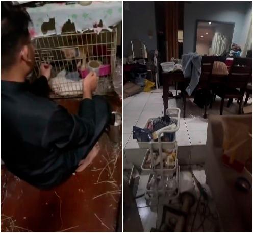 Young couple exposed for allegedly neglecting welfare of adopted cats