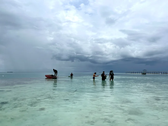 Foraging for shellfish and marine produce remains an important source of food and income for many Bajau Laut families.
