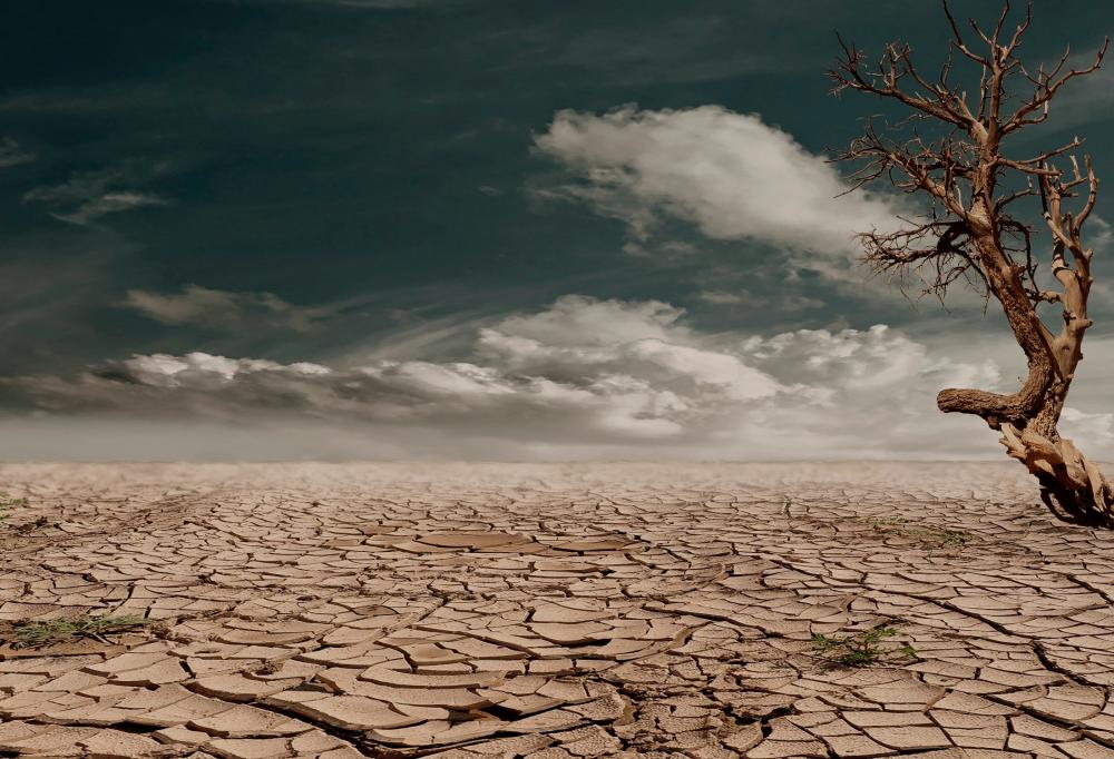 13 mln face hunger as Horn of Africa drought worsens: UN