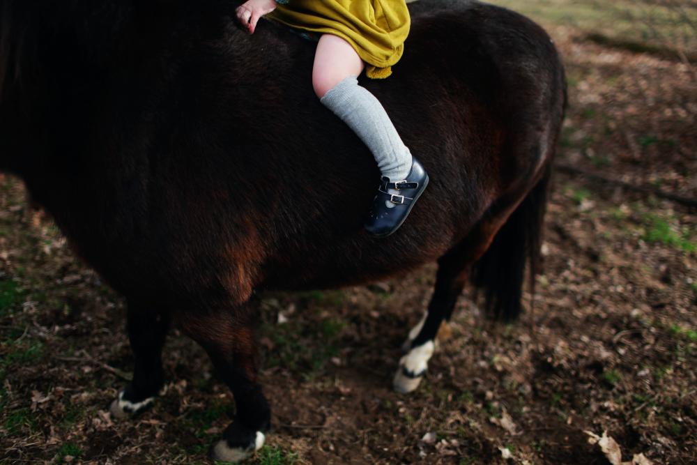 15 children injured in pony stampede at French summer camp