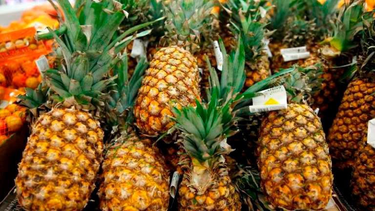 151 pineapple farmers incur losses due to floods â LPNM