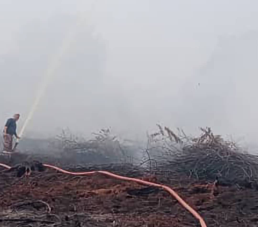 Sarawak forest fires worsen as hotspots surge statewide