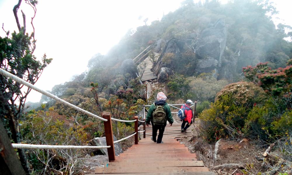 51-year-old dies during Mount Kinabalu climb