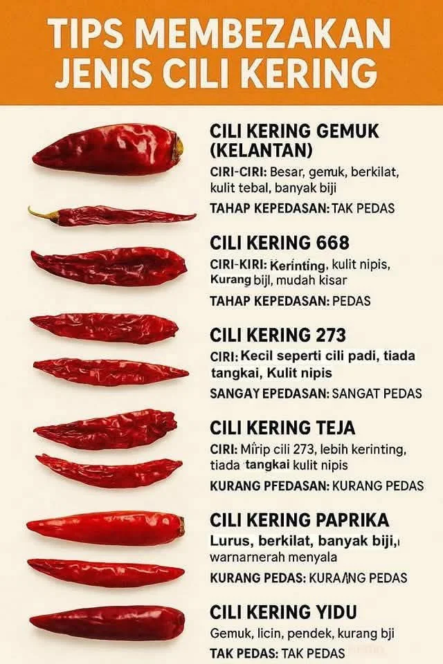 "Malaysian woman exposes the Cili Kering mistake we've all been making — Mak, are you seeing this?" "Malaysian woman exposes the Cili Kering mistake we've all been making — Mak, are you seeing this?"