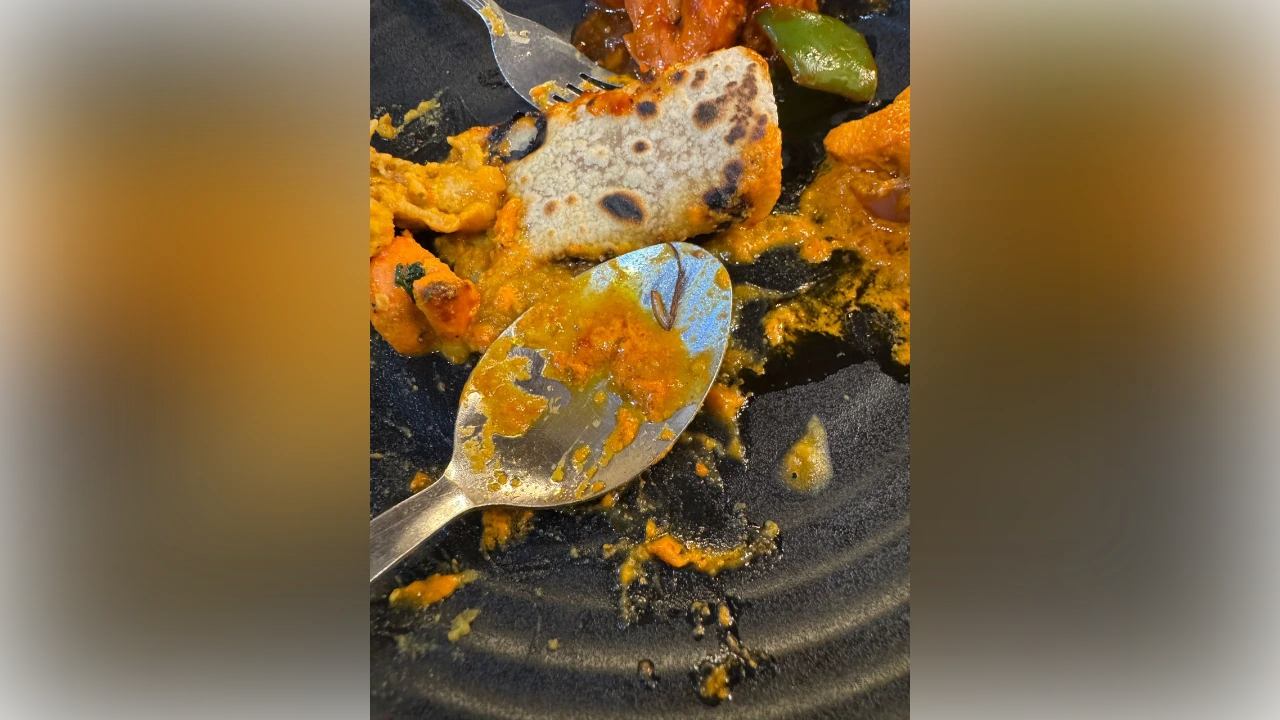“Why no action?” Penang rep slams inaction after cockroach leg found in popular eatery’s dish