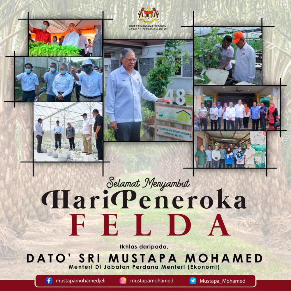 90% of Felda settlerâs loan for replanting activities â Mustapa 90% of Felda settlerâs loan for replanting activities â Mustapa