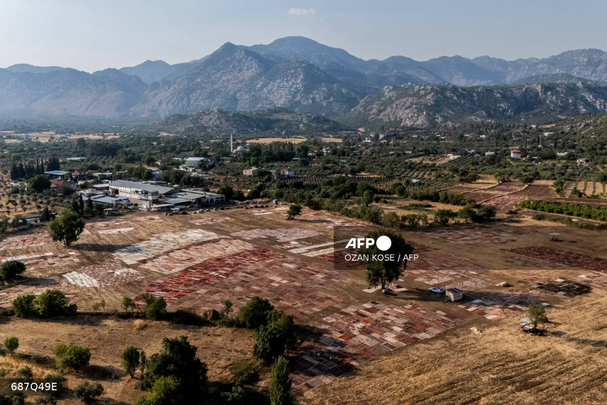 AFPTopshotTurkeyIndustryTourismHandicarft Pregnant mum, five kids die in container fire in Turkey