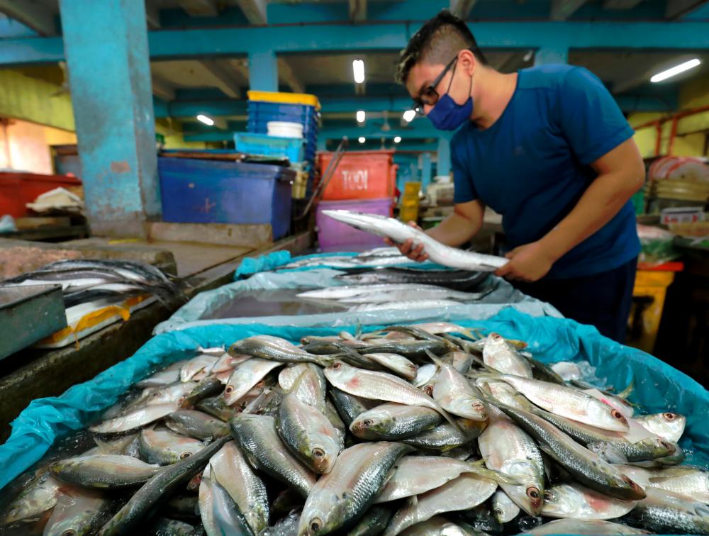 Sippli Fish Adequate supply of fresh fish: LKIM