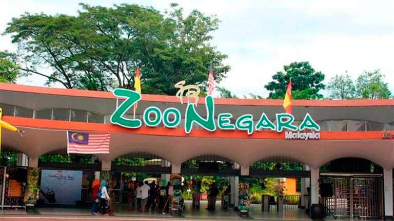 Another way of saving the zoo Another way of saving the zoo
