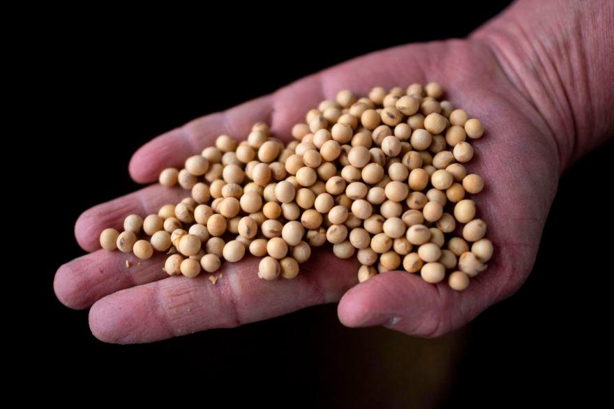Argentina suspends soy exports amid talk of tax increase Argentina suspends soy exports amid talk of tax increase