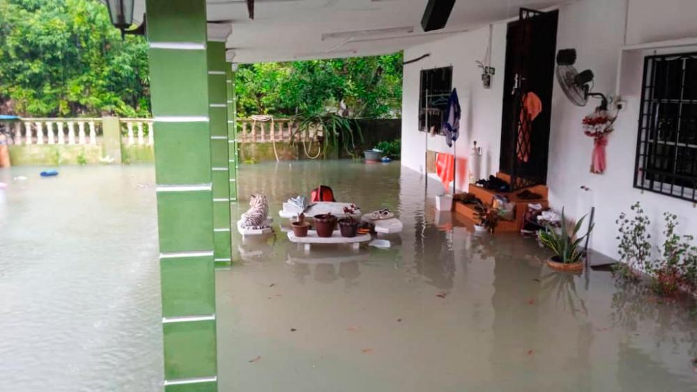 Banjir kilat: Seorang wanita alami detik cemas berenang ‘ditemani’ ular tedung 