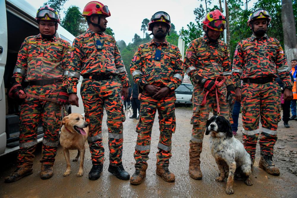 Bomba nafi beri kebenaran orang awam, sukarelawan sertai SAR tanah runtuh Bomba nafi beri kebenaran orang awam, sukarelawan sertai SAR tanah runtuh