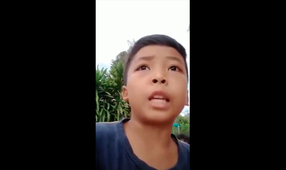 Boy goes viral for news report about large python