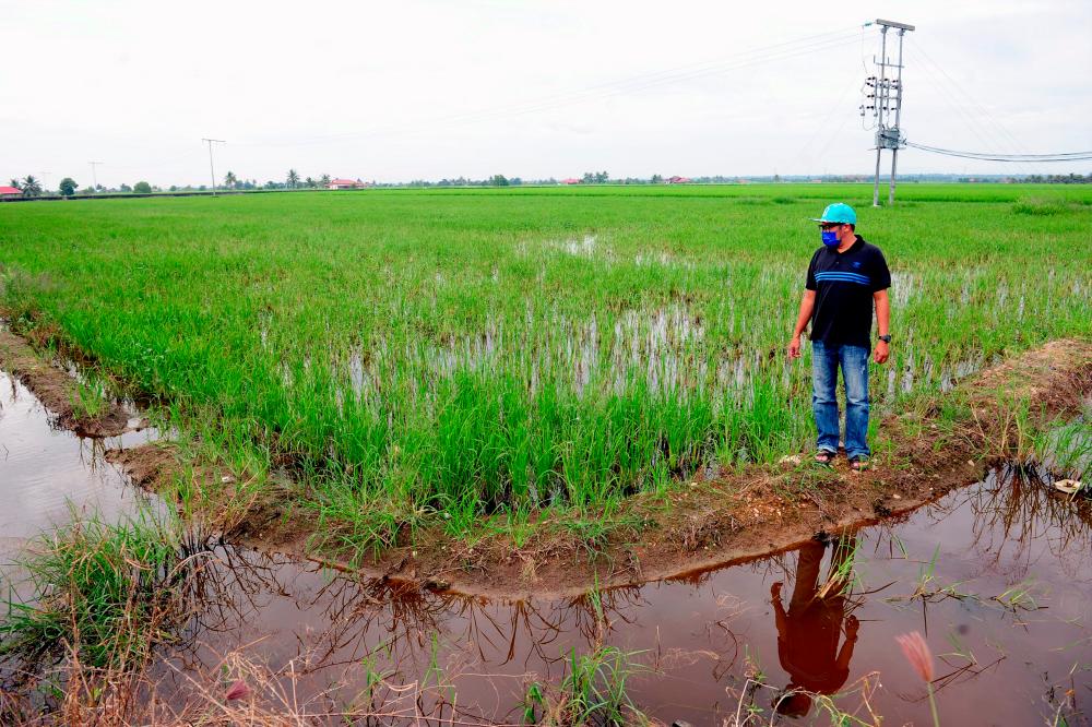 Change in weather pattern inflicting losses on farmers