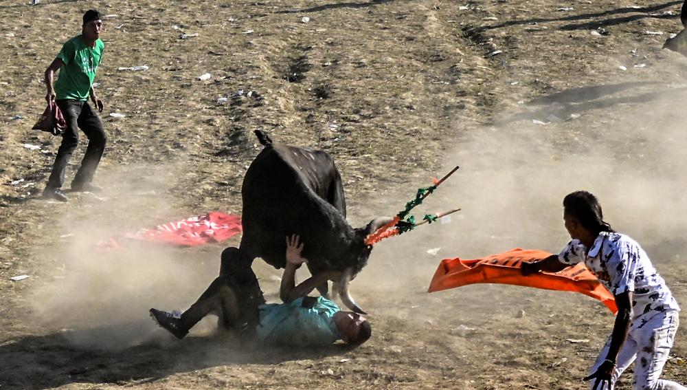 Colombia’s bull fighting custom under fire for animal abuse