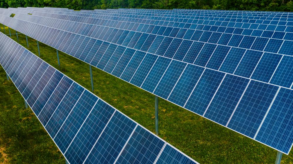 Corporations urged to ensure sustainability of initiatives Corporations urged to ensure sustainability of initiatives