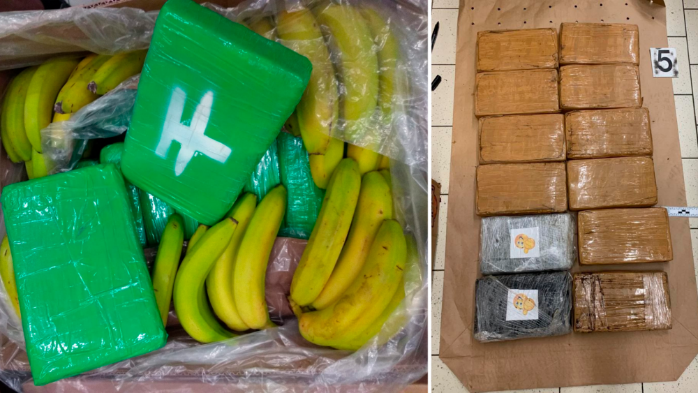 Czech police find over 800 kilos of cocaine in banana boxes Czech police find over 800 kilos of cocaine in banana boxes