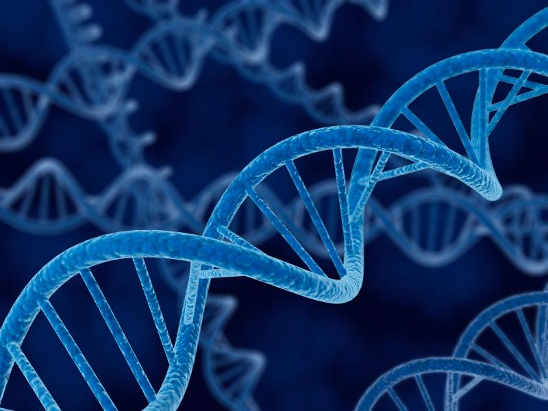 DNA retention from newborns raises questions of privacy and civil liberties