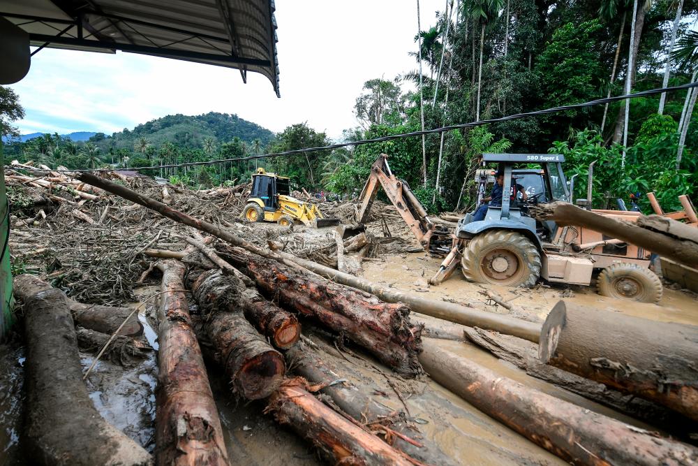 Dakwaan tanaman durian punca banjir, ahli parlimen mahu projek dihentikan
