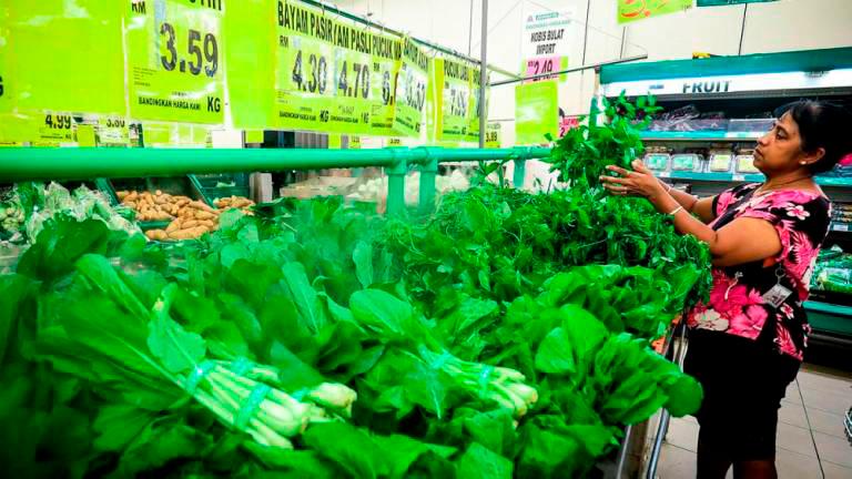 Damage caused by meat production far outweighs that of greens Damage caused by meat production far outweighs that of greens