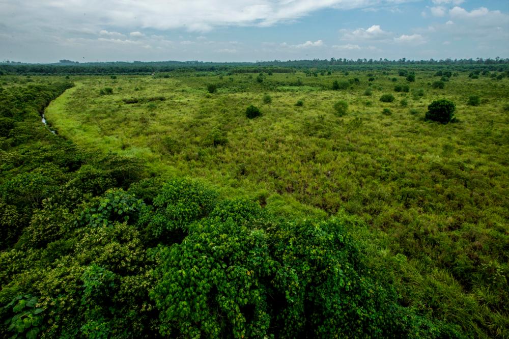 Demi âsurvivalâ hutan simpan Kuala Langat utara