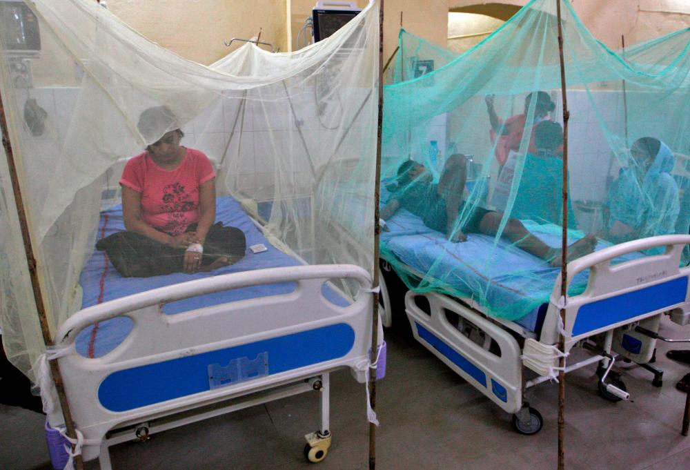 Dengue suspected of killing dozens as Indian state suffers worst outbreak in years Dengue suspected of killing dozens as Indian state suffers worst outbreak in years