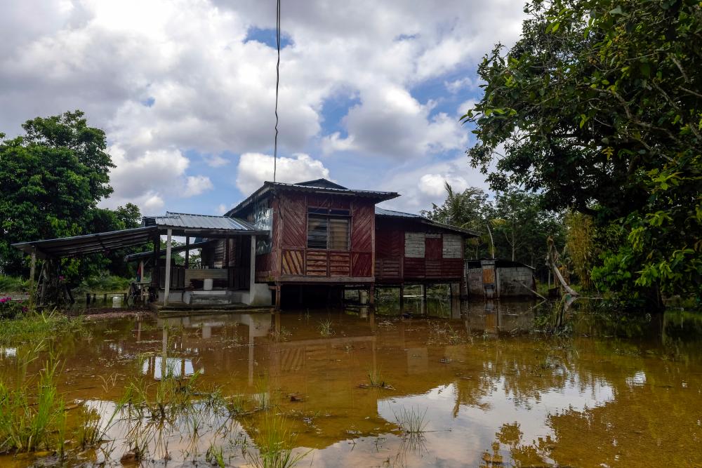 Drop in number of flood victims in Johor, Melaka and Selangor Drop in number of flood victims in Johor, Melaka and Selangor