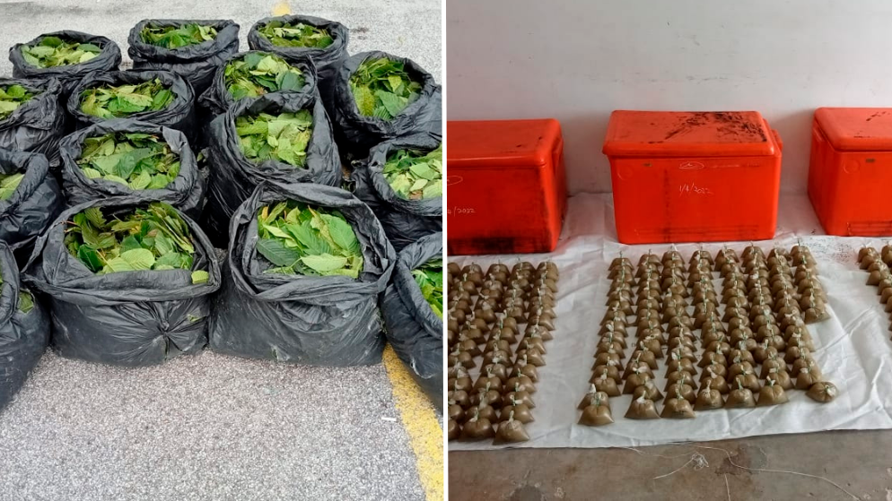 Empat lelaki ditahan bersama 420 bungkus air ketum, 75kg daun ketum