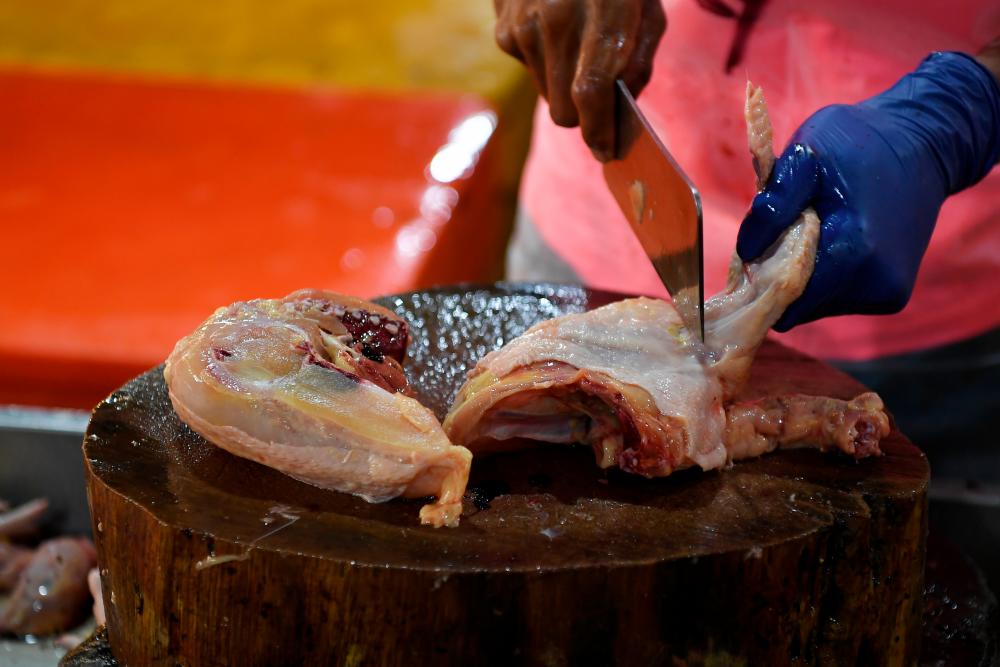 Engagement sessions with chicken breeders a new approach to tackle price hike â Nanta