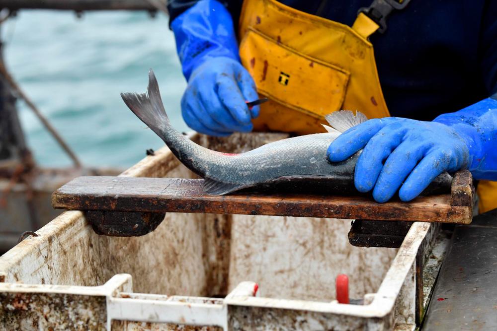 European Union gives green light to post-Brexit trade deal with the UK European Union gives green light to post-Brexit trade deal with the UK
