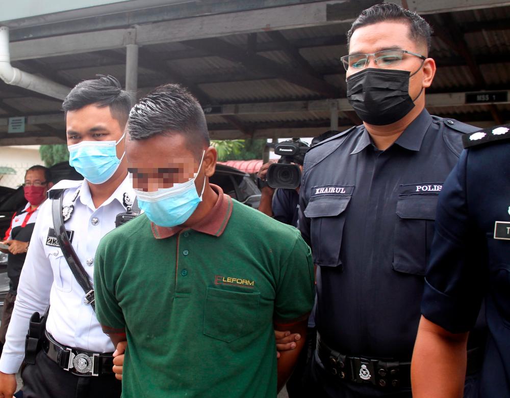 Family of four killed: Trailer driver out on police bail