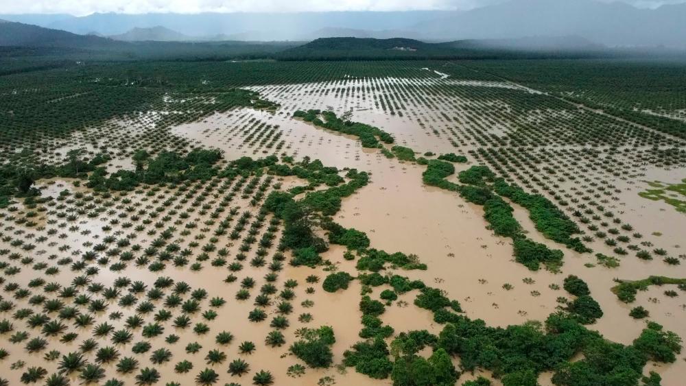 Floods: Terengganu agriculture sector’s estimated losses at over RM10 mln