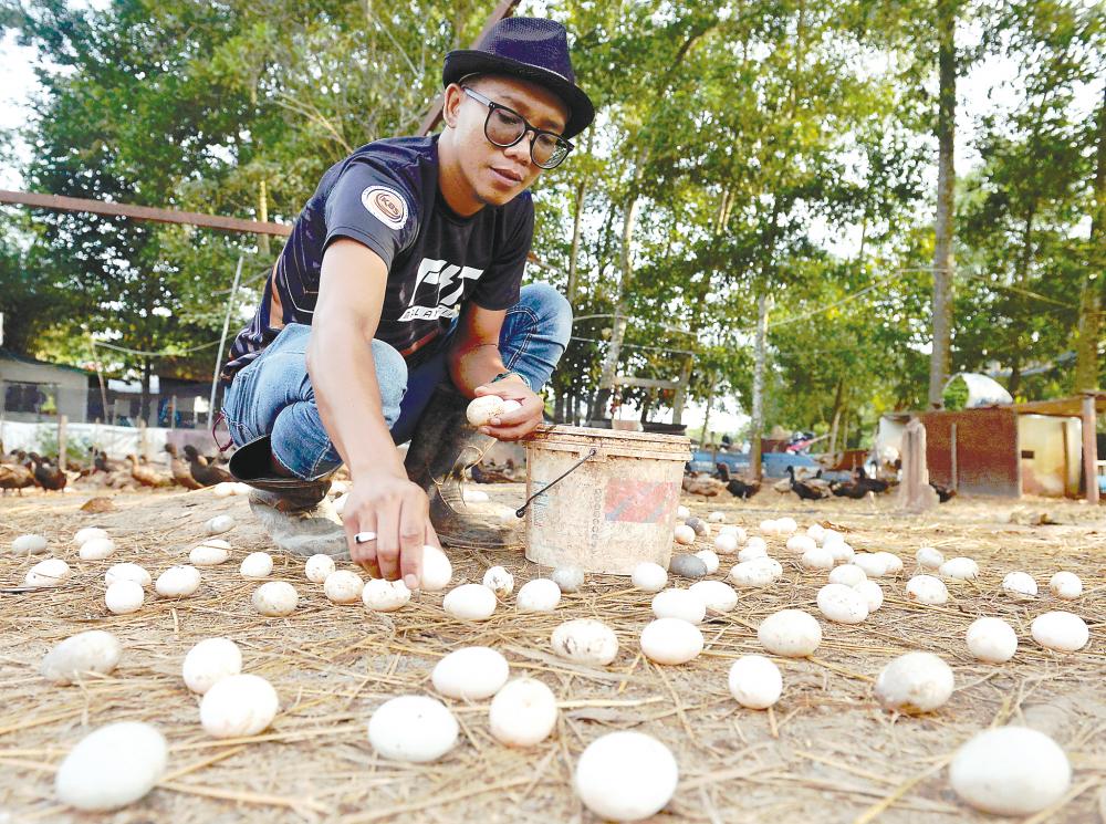 From political officer to successful duck egg farmer From political officer to successful duck egg farmer