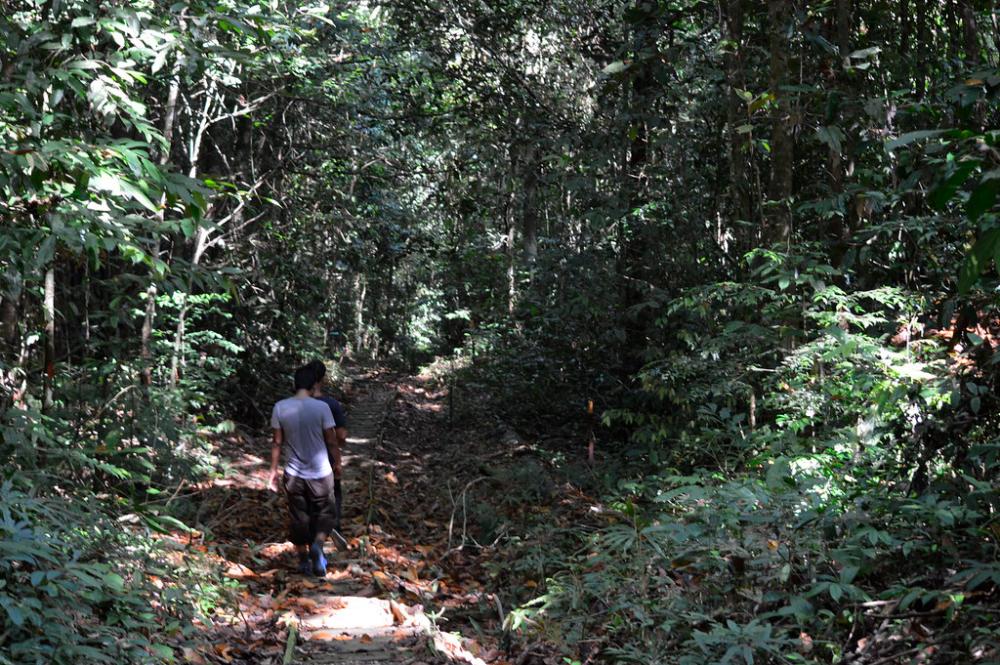 Get back to nature Get back to nature