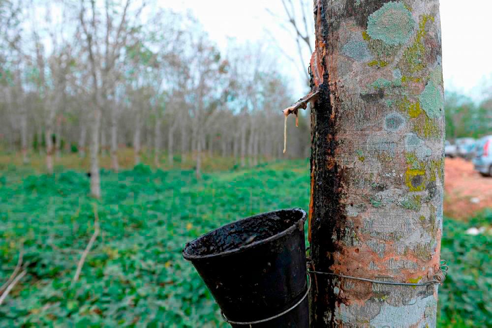 Global uncertainties, sluggish demand to weigh on rubber price next week