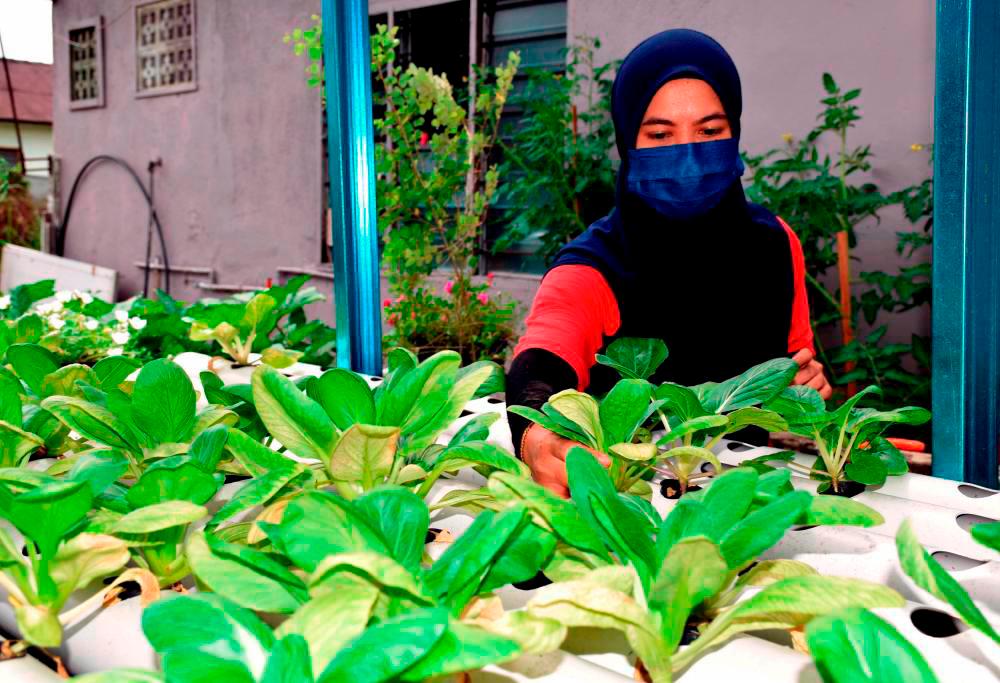 Govt to provide incentives to spur private investment in large-scale agriculture Govt to provide incentives to spur private investment in large-scale agriculture