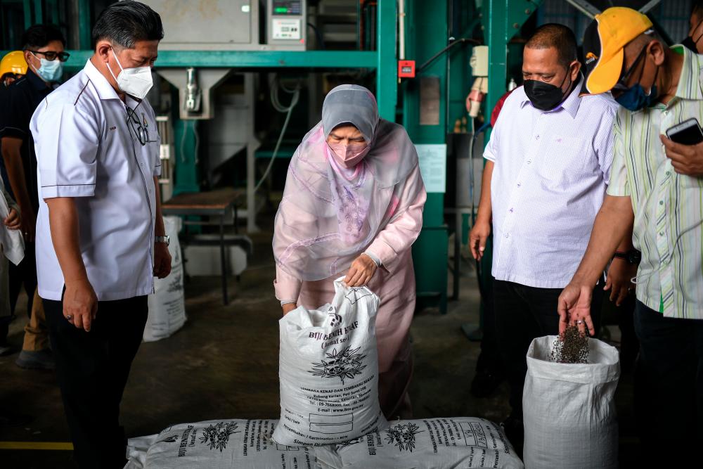 Govt wants to expand kenaf industry, produce more end products: Zuraida