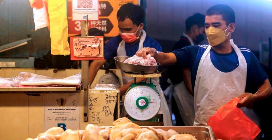 Govt yet to set date to lift ban on chicken exports: Nanta Govt yet to set date to lift ban on chicken exports: Nanta