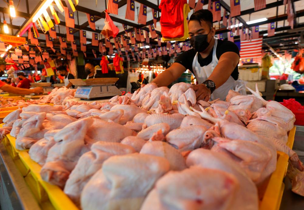 Govt’s intervention to ensure stability of chicken price -Nanta Govt’s intervention to ensure stability of chicken price -Nanta
