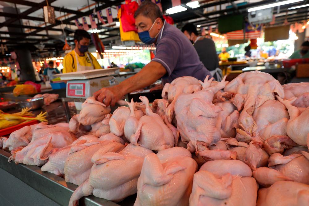 Harga ayam tidak diapung: Ramai puji, harap harga siling baharu tidak membebankan