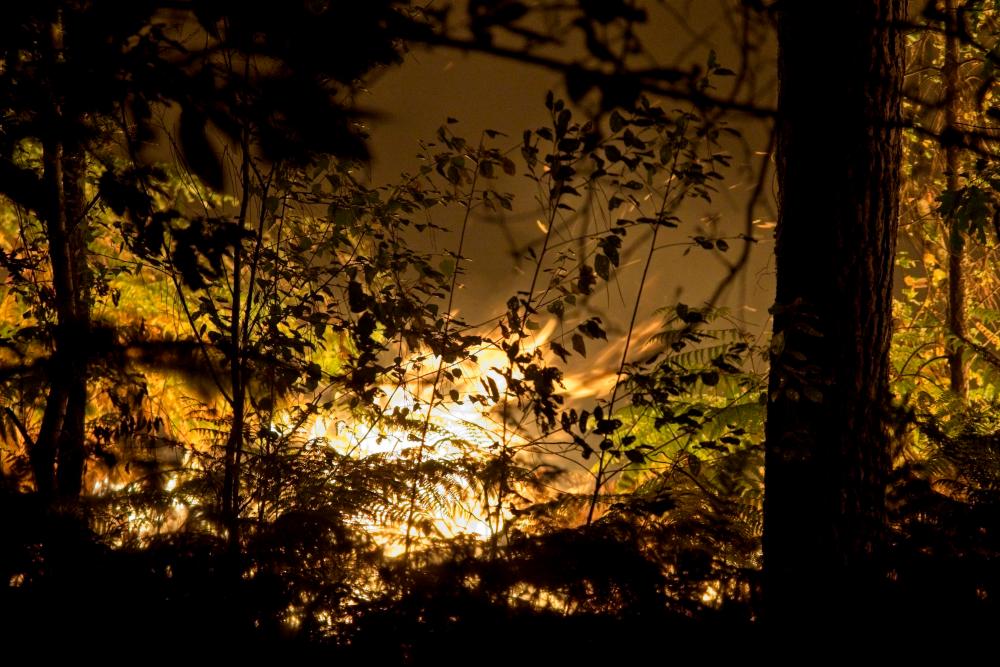 Heat, drought rekindle huge wildfire in southwest France Heat, drought rekindle huge wildfire in southwest France