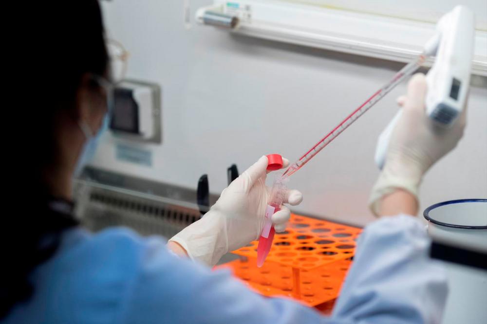 Hong Kong starts mass virus testing as China distrust swirls Hong Kong starts mass virus testing as China distrust swirls