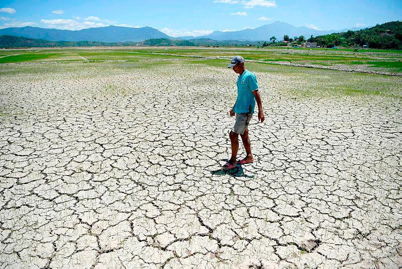 Hot, dry conditions continue to batter Europe, with health, economic impacts