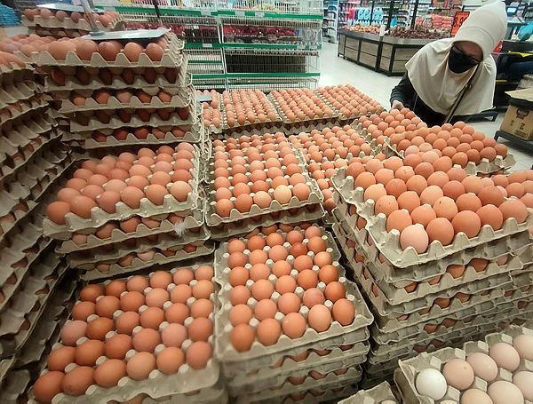 Stable supply of chicken, eggs despite global uncertainty