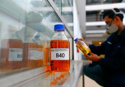 Indonesia to revise palm oil levy to support biodiesel programme