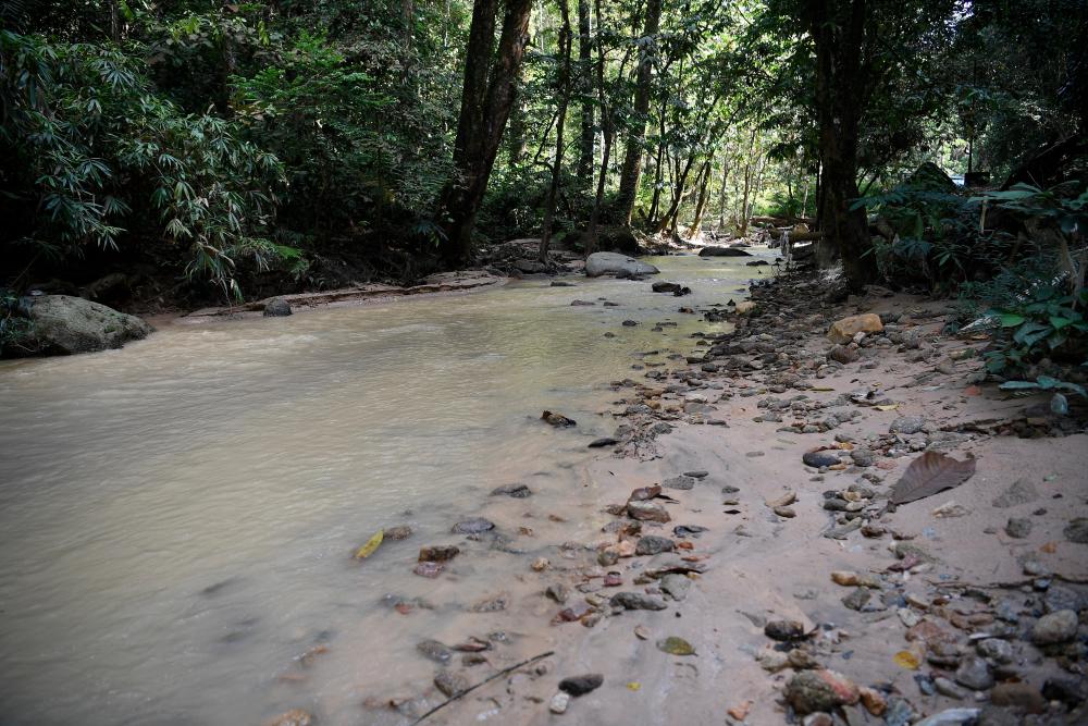 Is Sungai Batang Kali doomed to turn into a âdead riverâ?